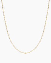14k Gold Parker Delicate Link Necklace