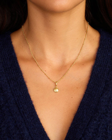 Varsity Parker Charm